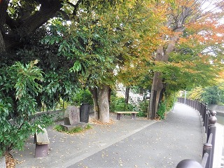 写真:応募部門(表彰)7