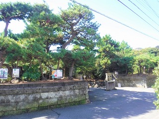 写真:応募部門(認定)2