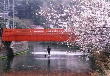 写真：桜＋SUP＝現代の花見