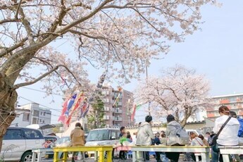 写真：朝市の様子