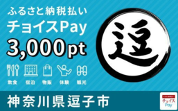 逗子市ふるさと納税払いチョイスPay3000