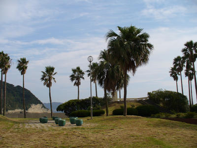 写真：小坪海浜公園1