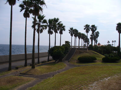 写真：小坪海浜公園2