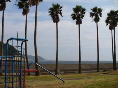 写真：小坪海浜公園5