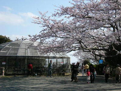 写真：披露山公園2