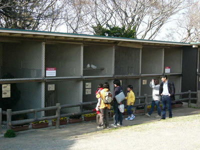 写真：披露山公園7