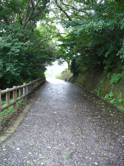 写真：披露山公園9