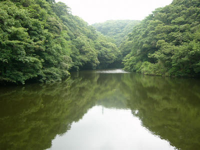 写真：久木大池公園1