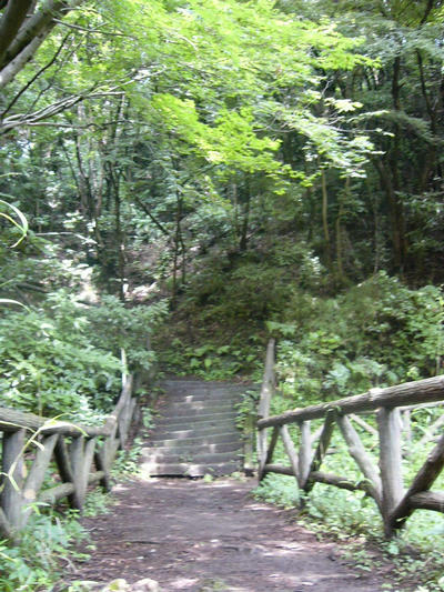 写真：久木大池公園2