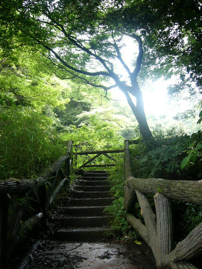 写真：久木大池公園5