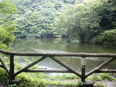 写真：久木大池公園6