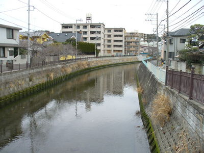 写真：田越川7