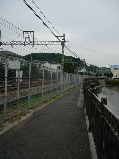 写真：田越川8