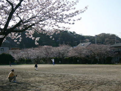 写真：第一運動公園5