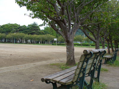 写真：第一運動公園6