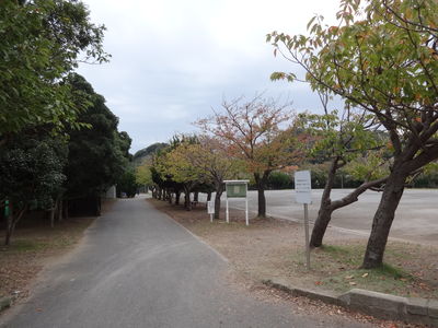 写真：第一運動公園10