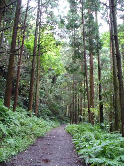 写真：二子山ハイキングコース1