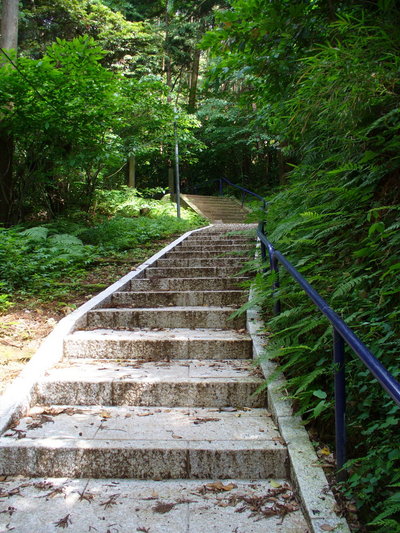 写真：桜山神明社2