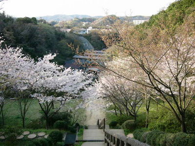 写真：桜山中央公園4