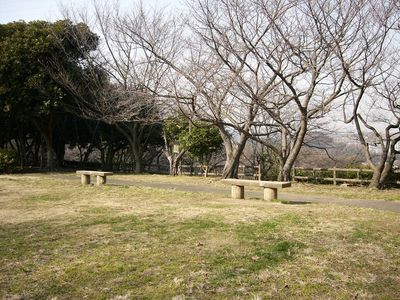 写真：桜山中央公園5