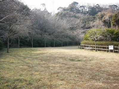 写真：桜山中央公園8