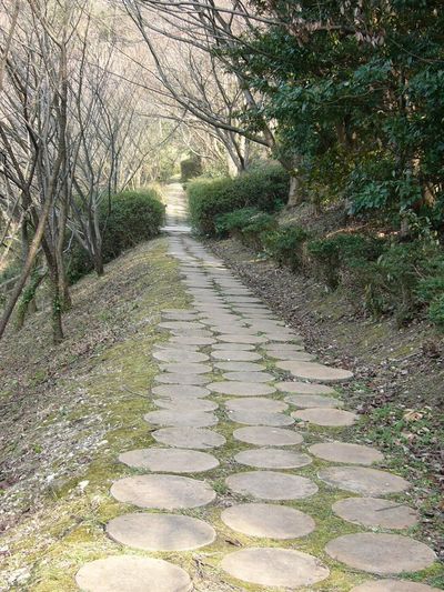 写真：桜山中央公園10