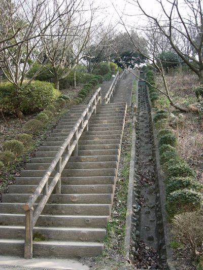 写真：桜山中央公園11