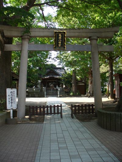 写真：亀岡八幡宮1