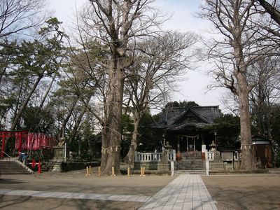 写真：亀岡八幡宮3