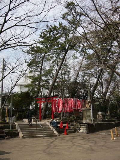 写真：亀岡八幡宮4