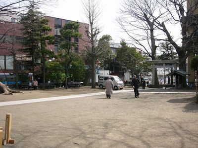 写真：亀岡八幡宮5