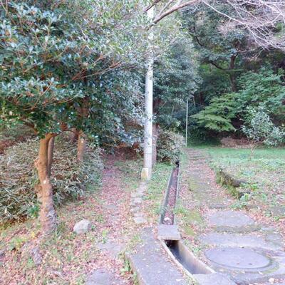 写真：蘆花記念公園からハイキングコースに入る道
