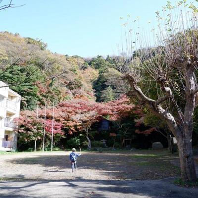 写真：蘆花記念公園の紅葉1