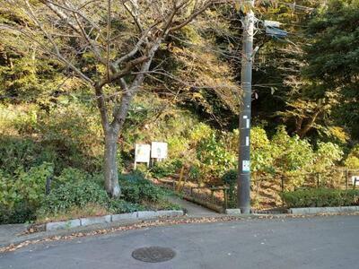 写真：「台山緑地案内図」と「ハイキングロードMAP」の看板1