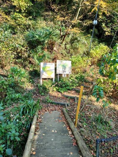 写真:「台山緑地案内図」と「ハイキングロードMAP」の看板2