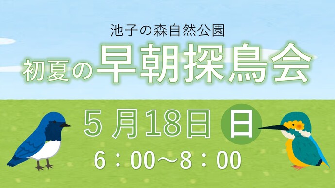 初夏の早朝探鳥会