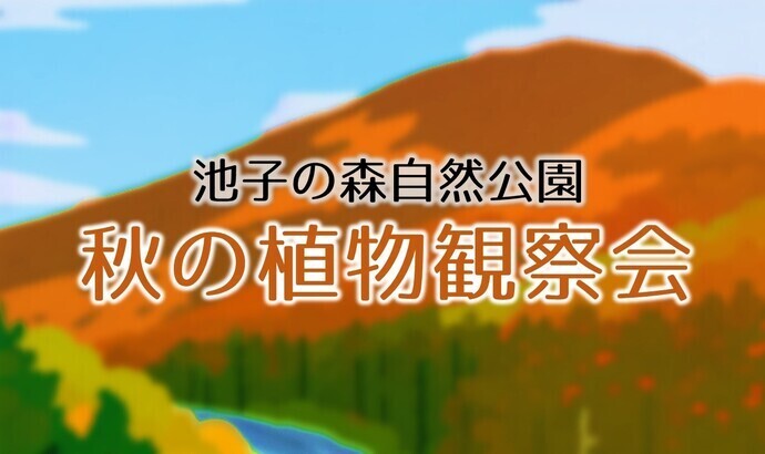 池子の森自然公園 秋の植物観察会