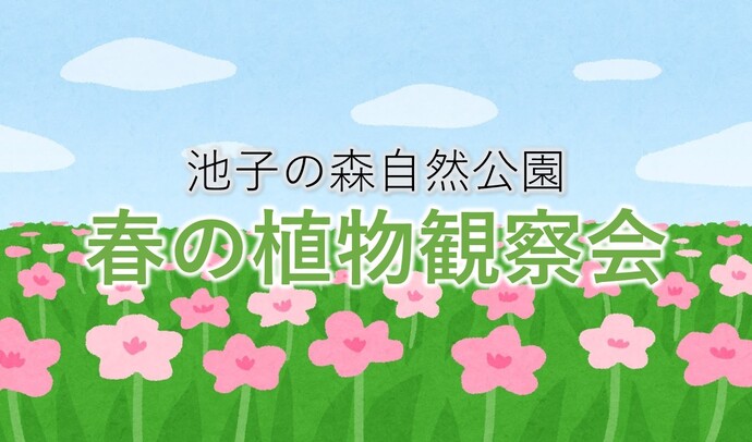 池子の森自然公園　春の植物観察会