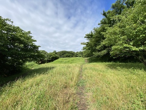 小坪2丁目県有地(小坪2－1042－1）