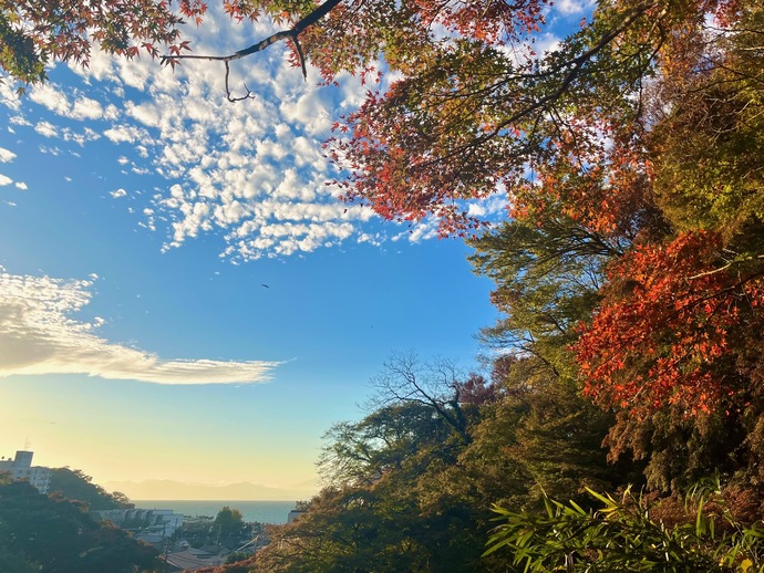 蘆花記念公園の紅葉と秋空