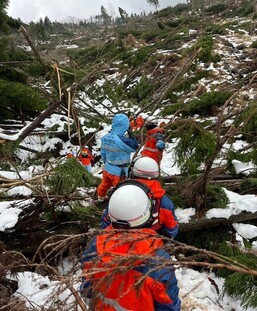 道なき道を進む