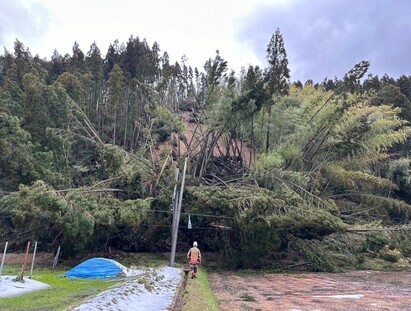 未検索地域の安否確認