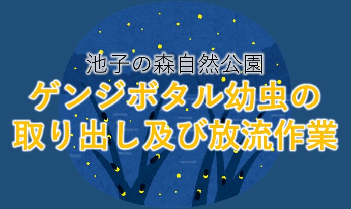 池子の森自然公園ゲンジボタル幼虫の取り出し及び放流作業