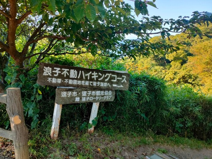 しらかば逗子乳児保育園の外観