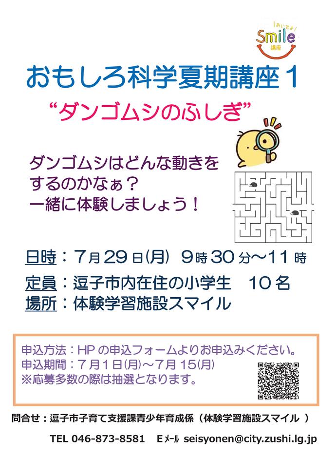 チラシ