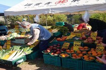 写真:各種出店