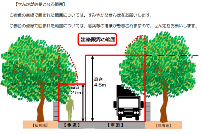 せん定が必要となる範囲