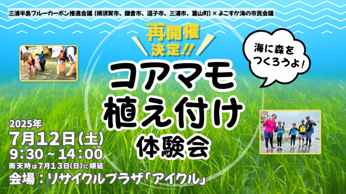 【画像】コアマモ植え付け体験会