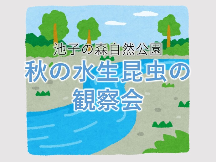池子の森自然公園　秋の水生昆虫観察会