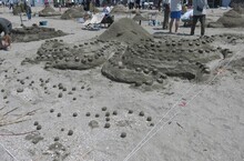 市長賞「タコの手も借りたい　逗子の海守り隊」